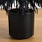 6ft. Artificial Halloween Real Touch Black Norfolk Pine Christmas Tree with Natural Look